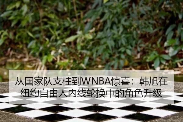 从国家队支柱到WNBA惊喜：韩旭在纽约自由人内线轮换中的角色升级
